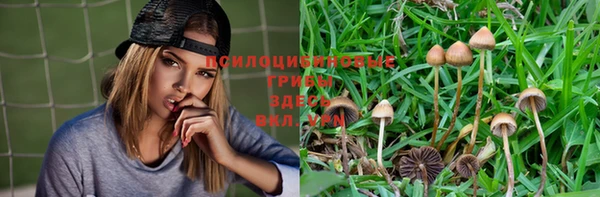ешки Верея
